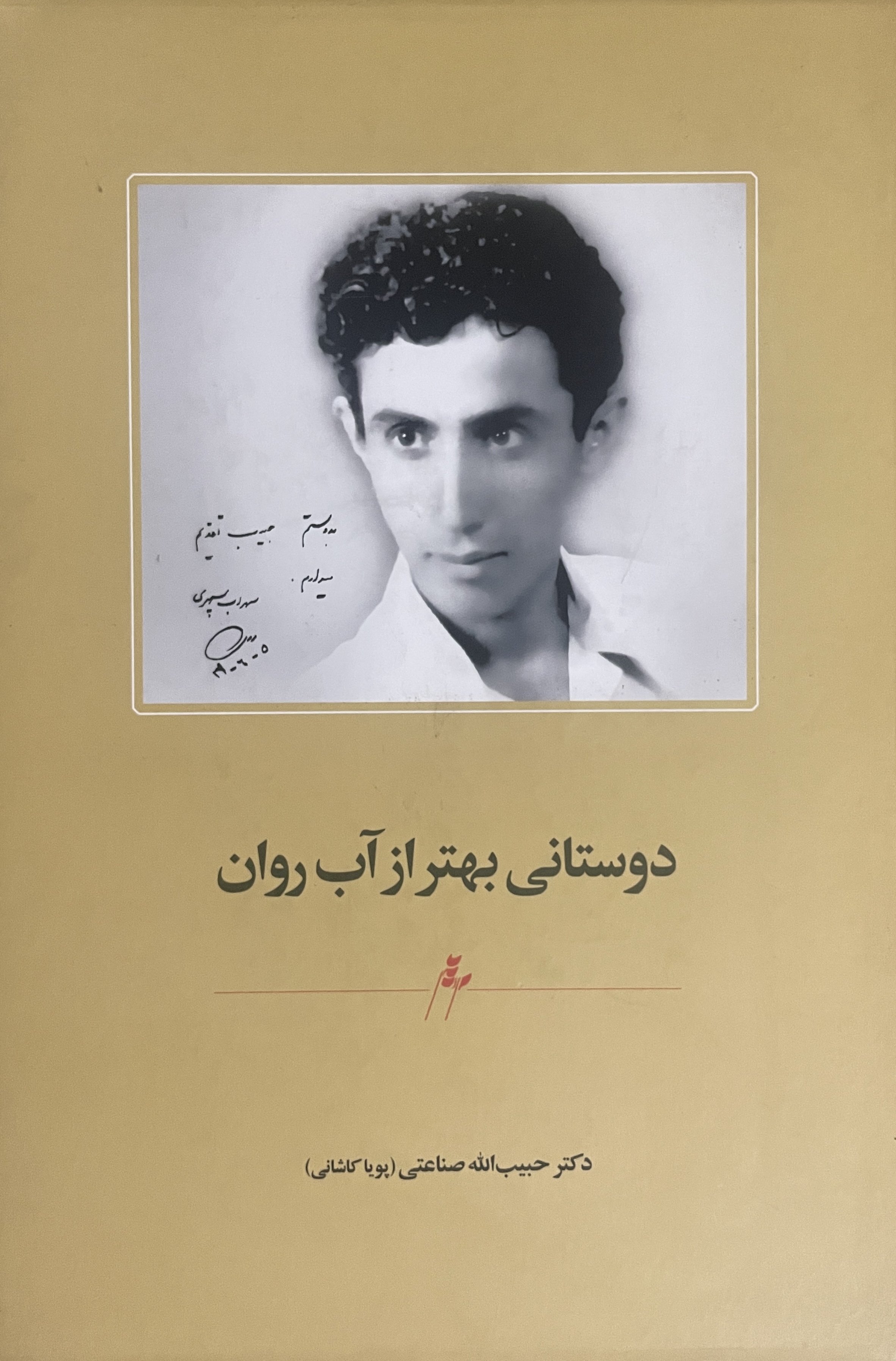 کتاب دوستانی بهتر از آب روان-مشابه نو