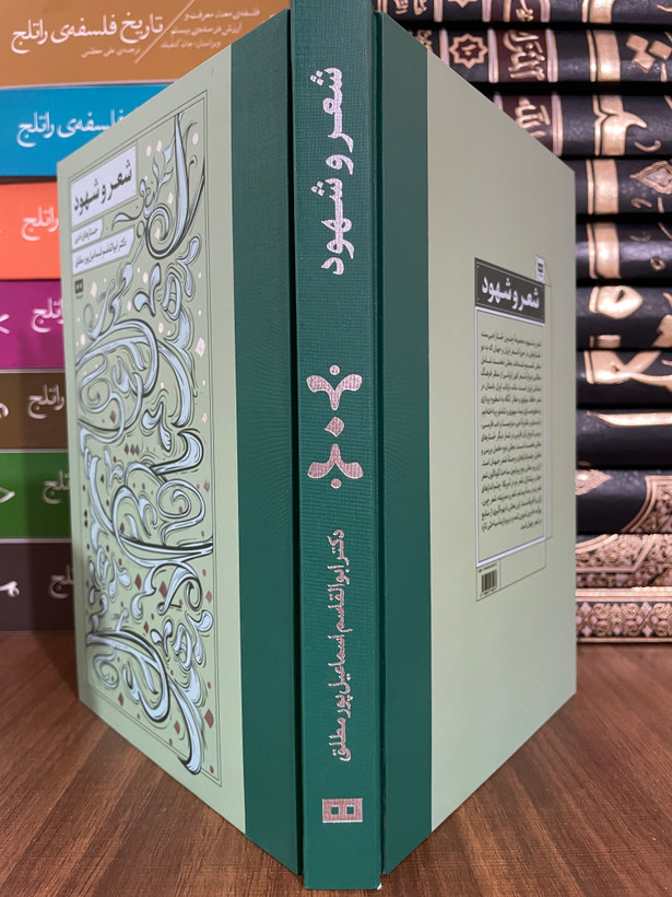 کتاب شعر و شهود جستارهای ادبی - مشابه نو