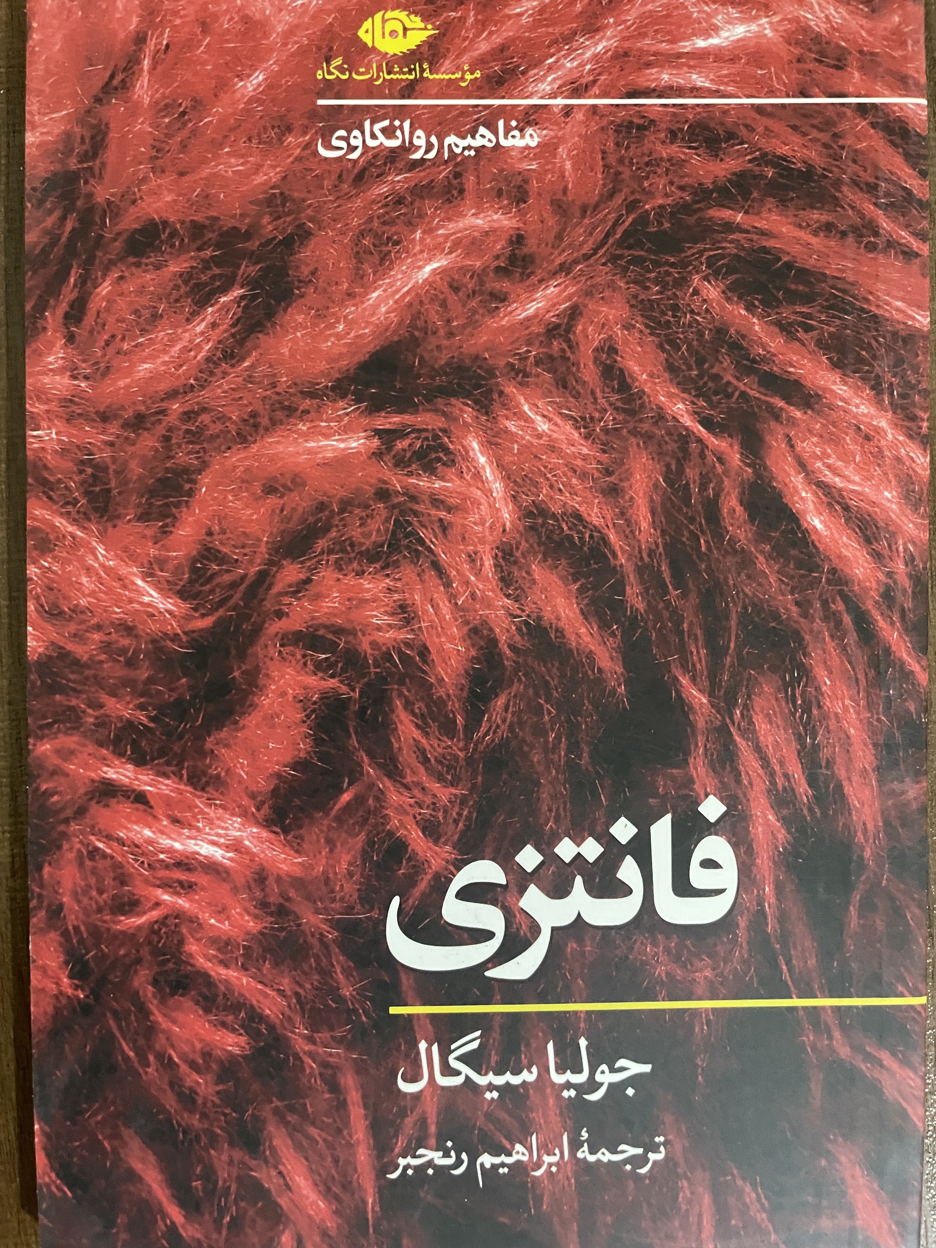 کتاب فانتزی جولیا سیگال مفاهیم روانکاوی ابراهیم رنجبر - مشابه نو