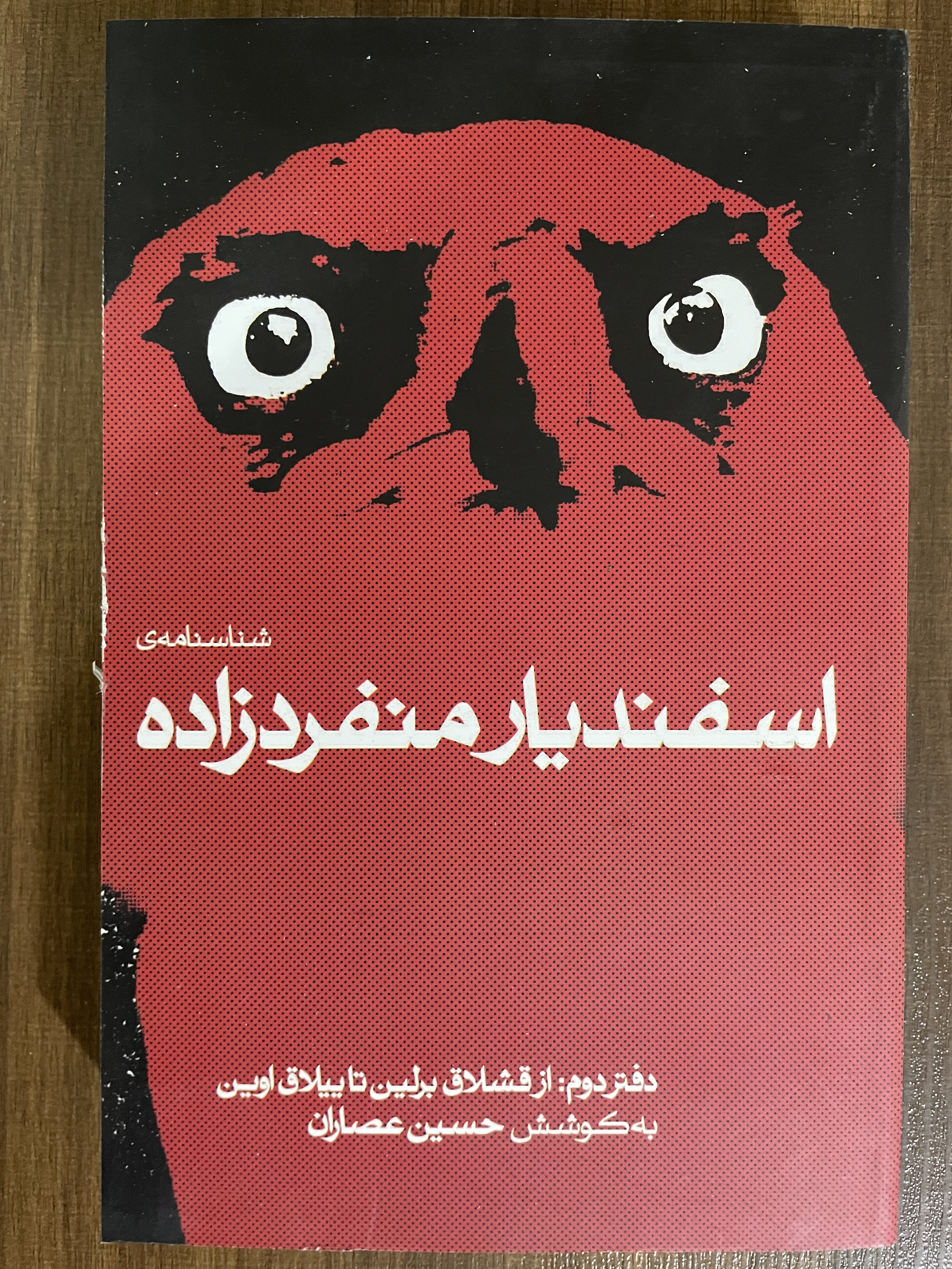 کتاب اسفندیار منفرد زاده -مشابه نو