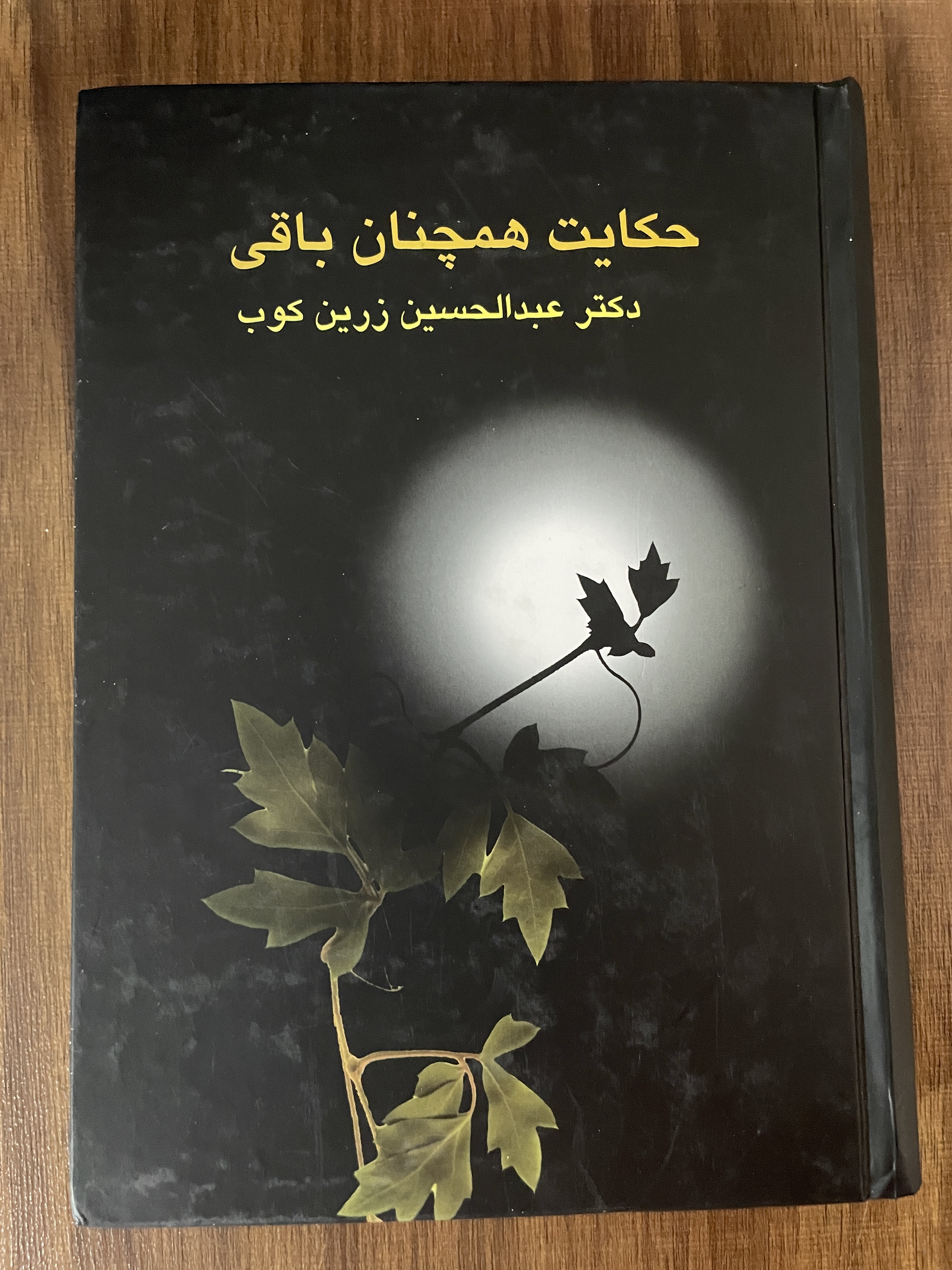 کتاب حکایت همچنان باقی عبدالحسین زیرین کوب - مشابه نو