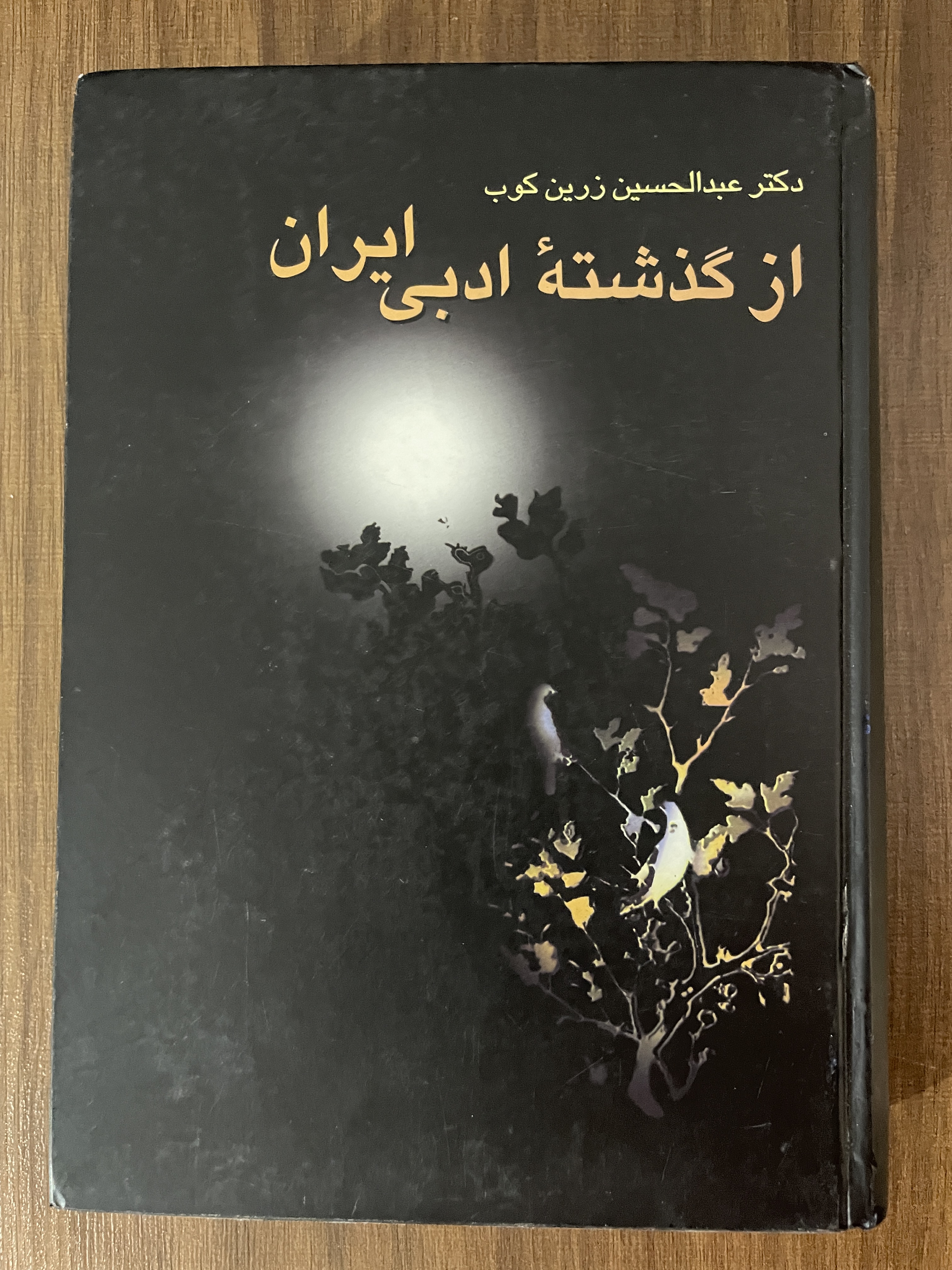 کتاب از گذشته ادبی ایران عبدالحسین زرین کوب - مشابه نو