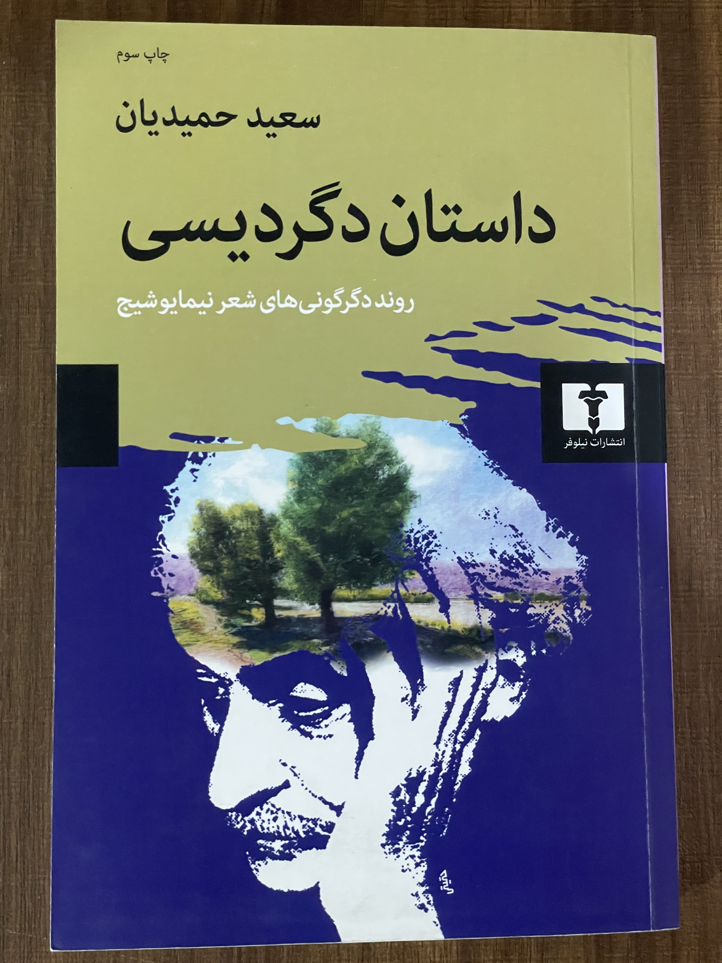 کتاب داستان دگردیسی روند دگرگونی های شعر نیمایوشیج - مشابه نو