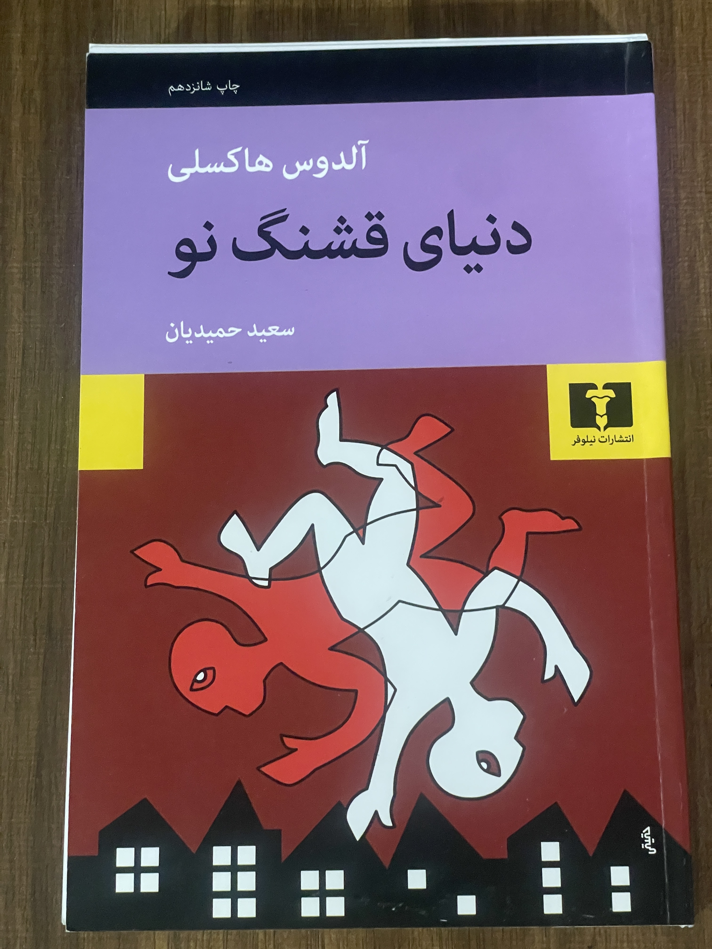 کتاب دنیای قشنگ تو سعید حمیدیان - انتشارات نیلوفر - دست دوم تمیز