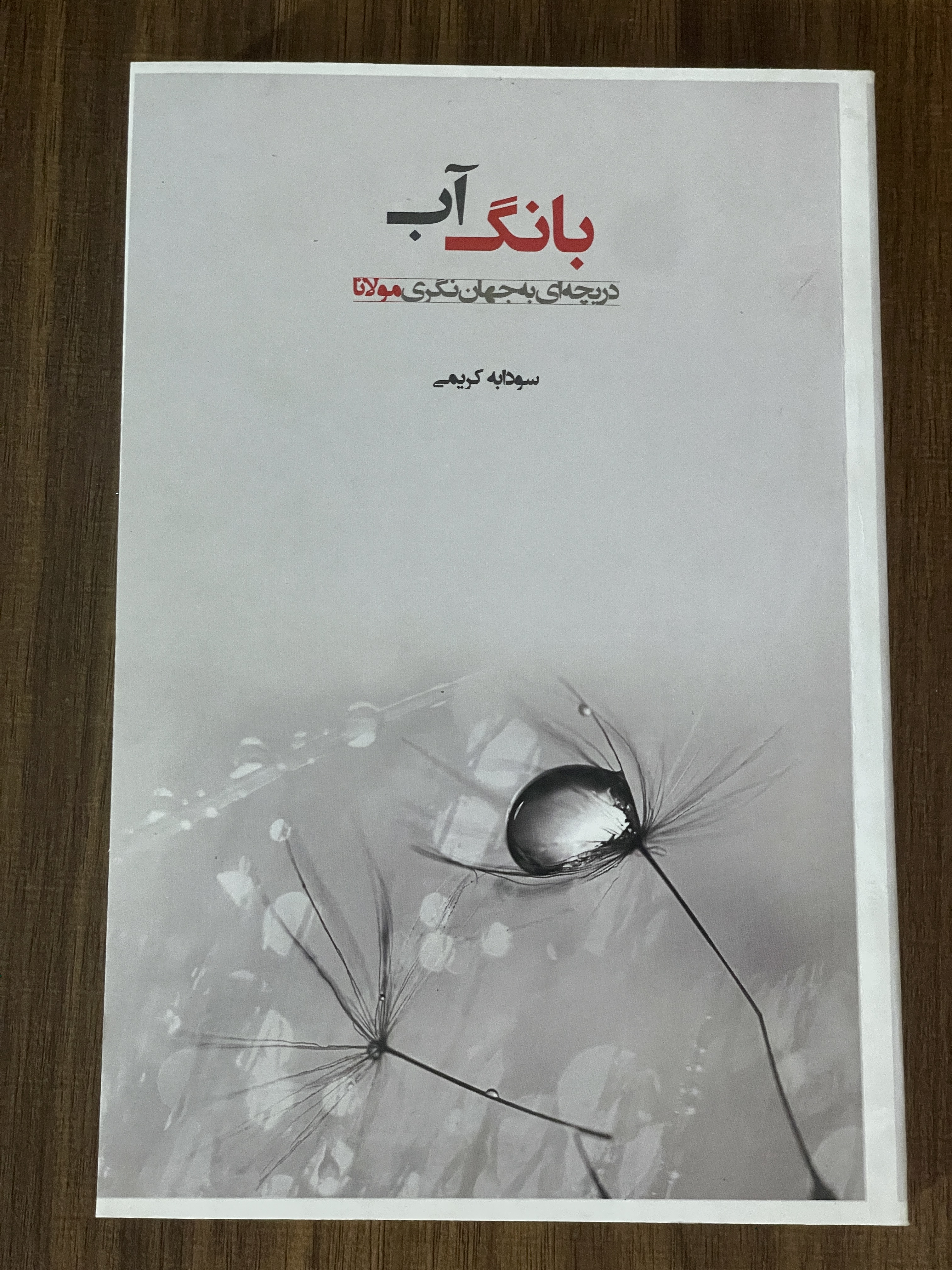 کتاب بانگ آب دریچه ای به جهان نگری مولانا - سودابه کریمی - دست دوم تمیز