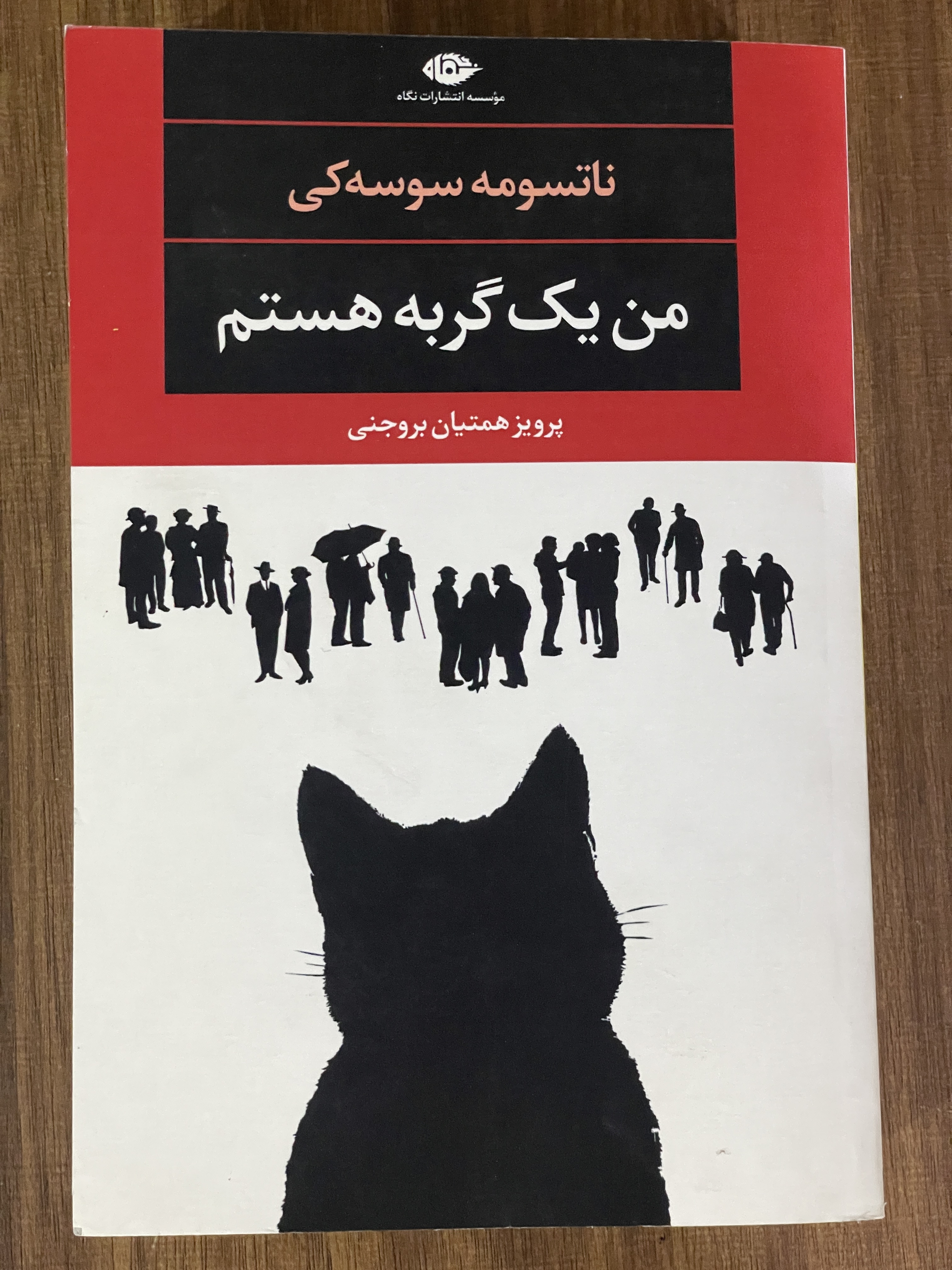 کتاب من یک گربه هستم- مشابه نو