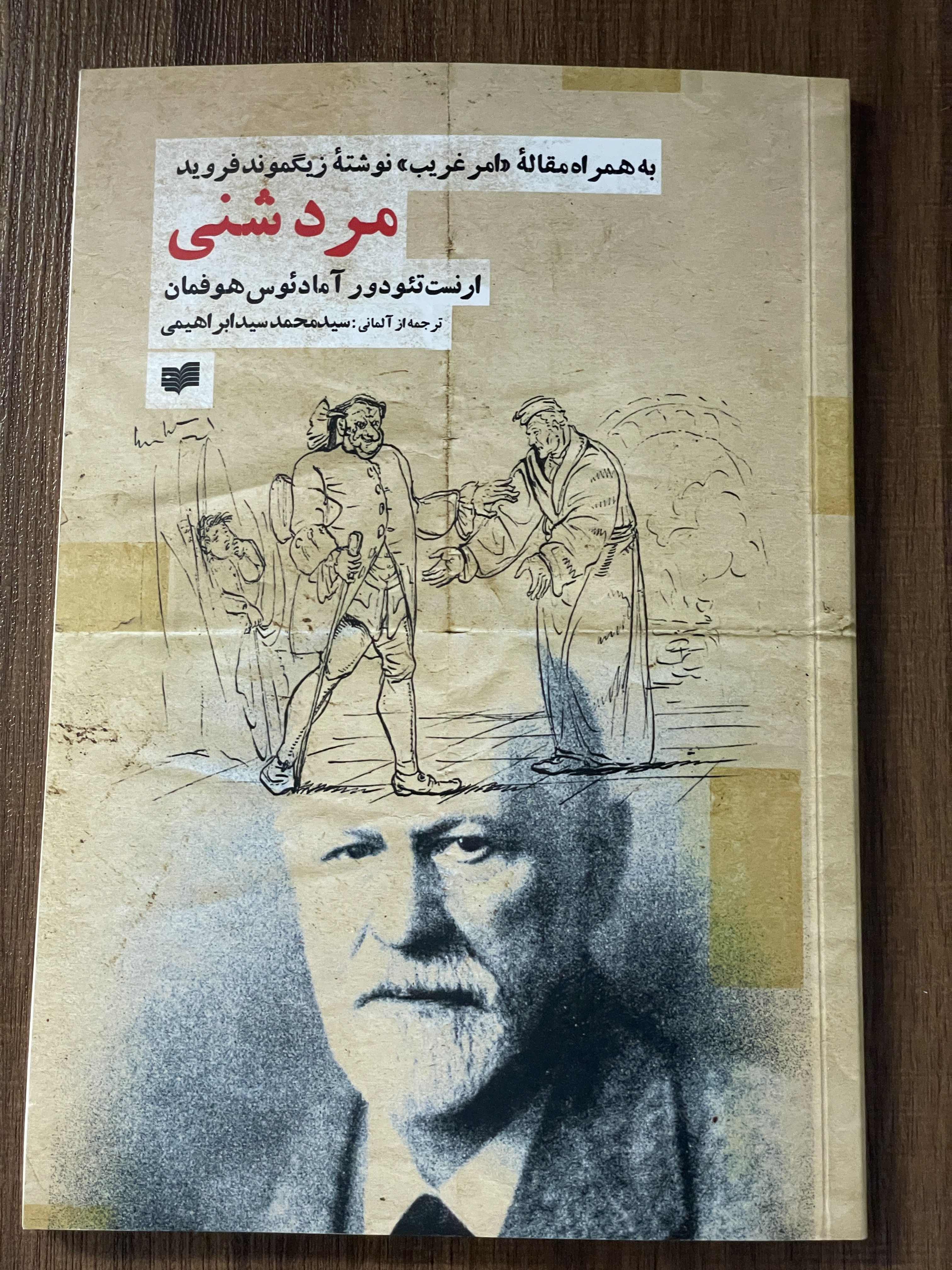 کتاب مرد شنی به همراه مقاله امر غریب - مشابه نو