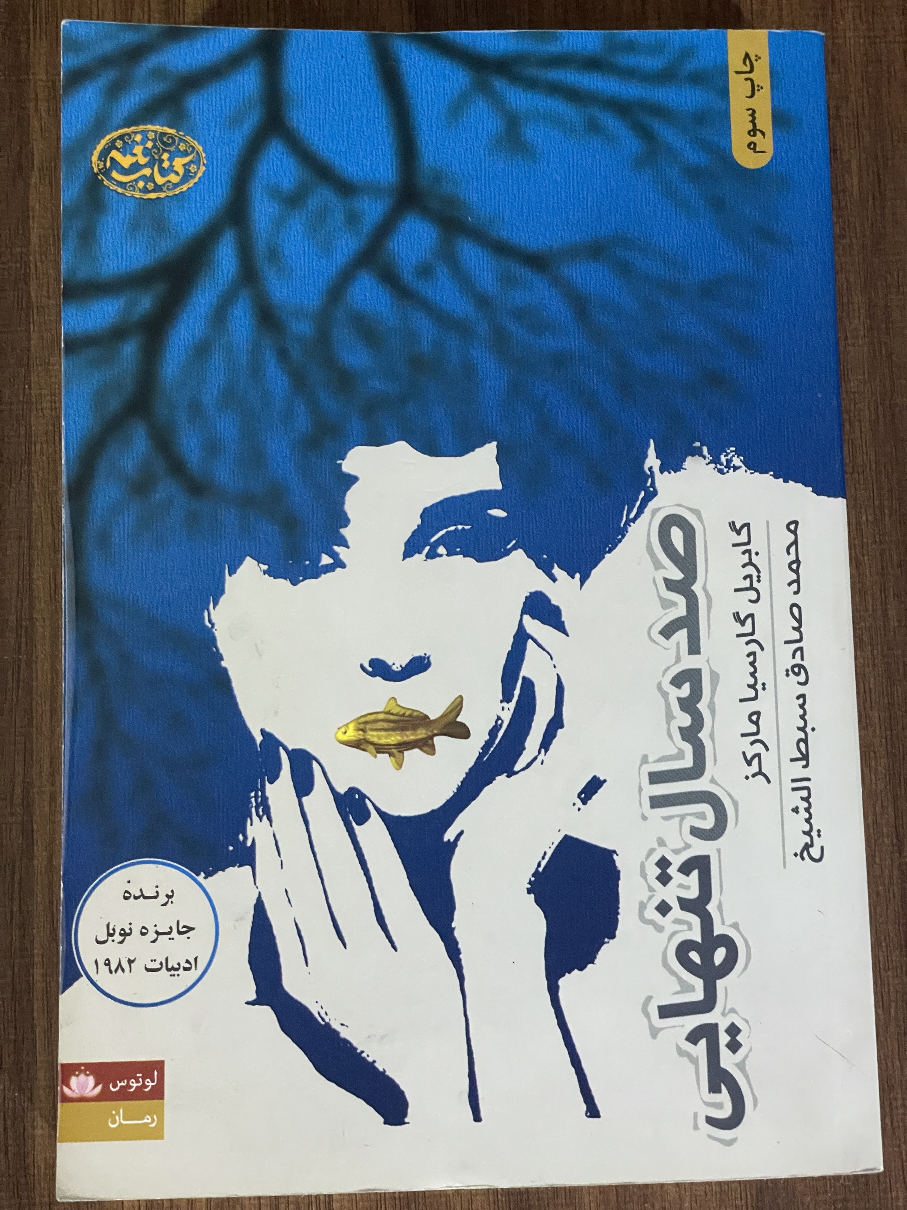 کتاب صد سال تنهایی - محمد صادق سبط الشیخ - مشابه نو