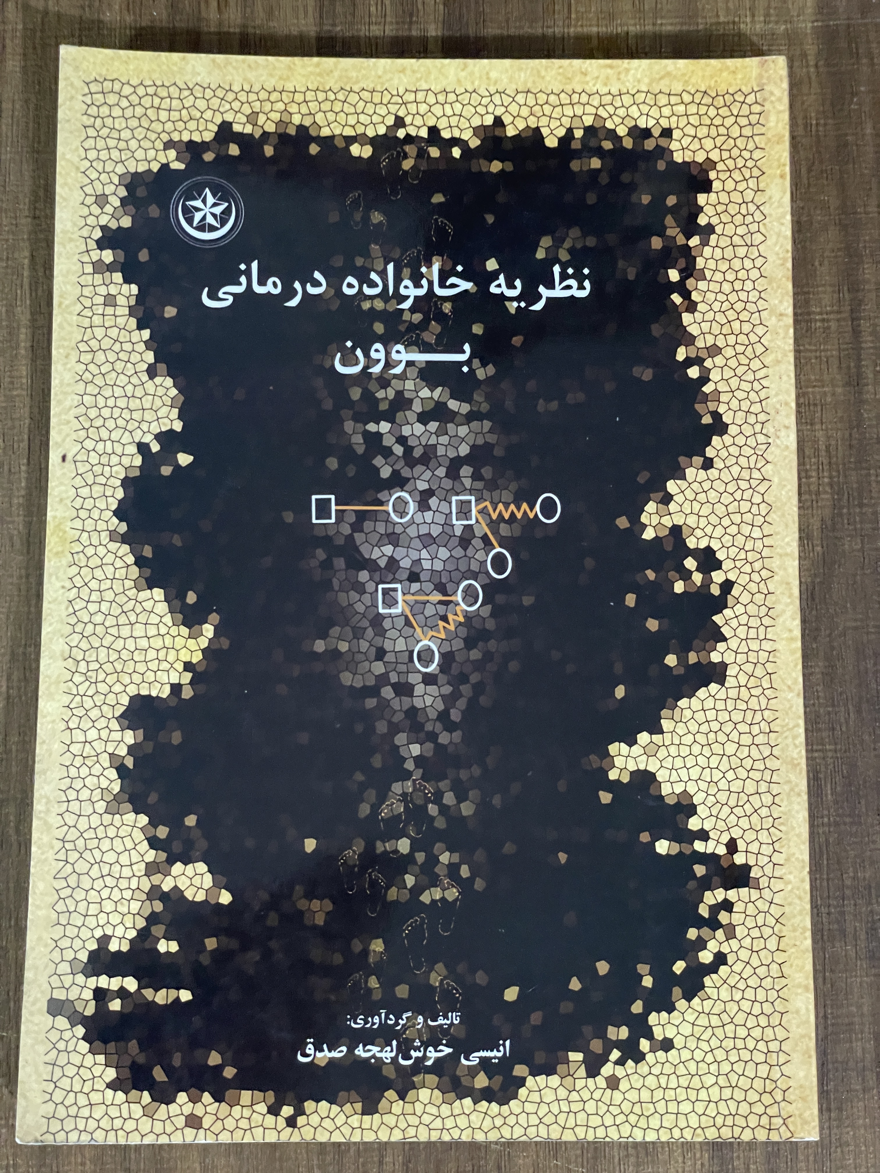 کتاب نظریه خانواده درمانی بوون انیسی خوش لهجه صدق - مشابه نو