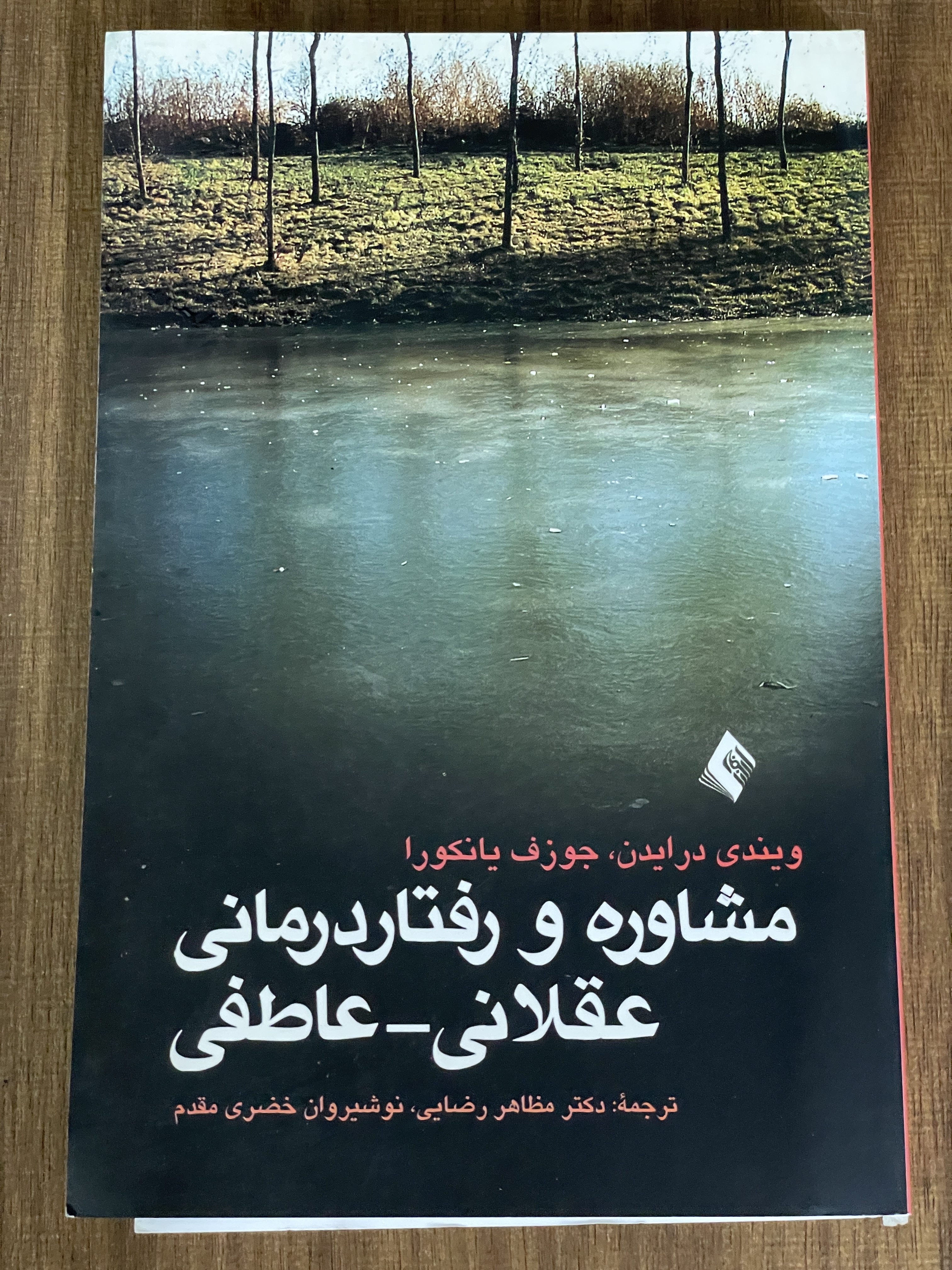 کتاب مشاوره و رفتار درمانی عقلانی عاطفی - مشابه نو