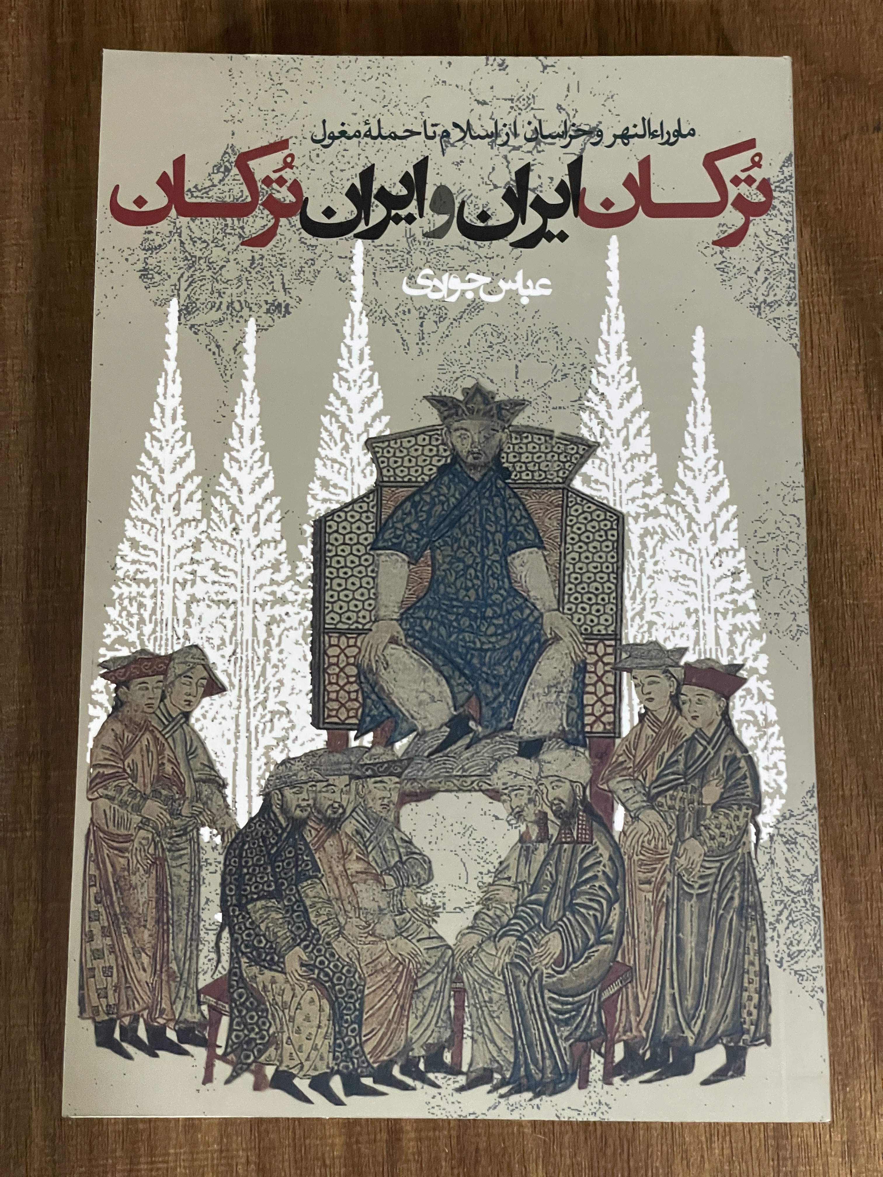 کتاب ترکان ایران و ایران ترکان - مشابه نو
