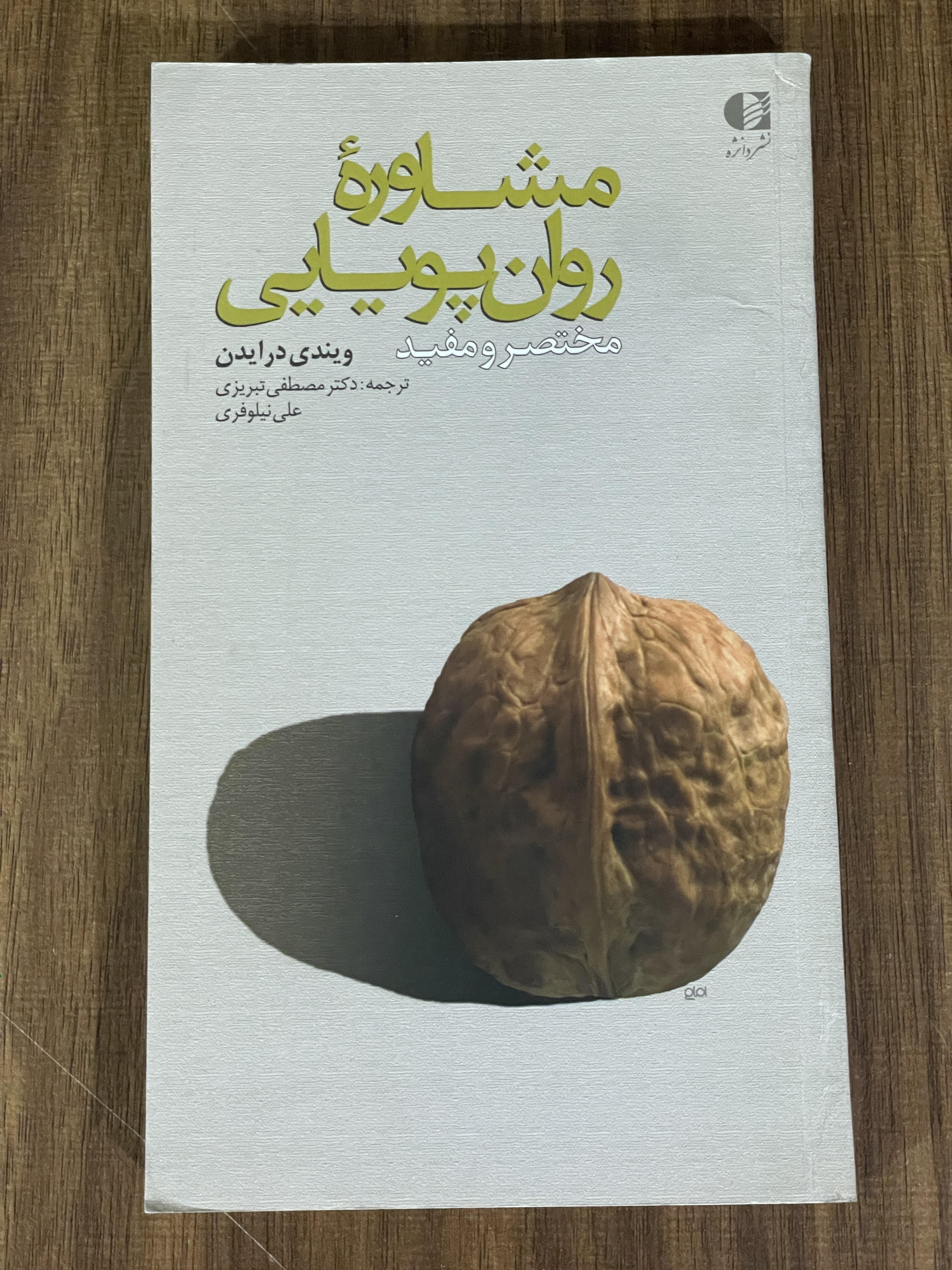 کتاب مشاوره روان پویایی مختصر و مفید ویندی درایدن - دست دوم