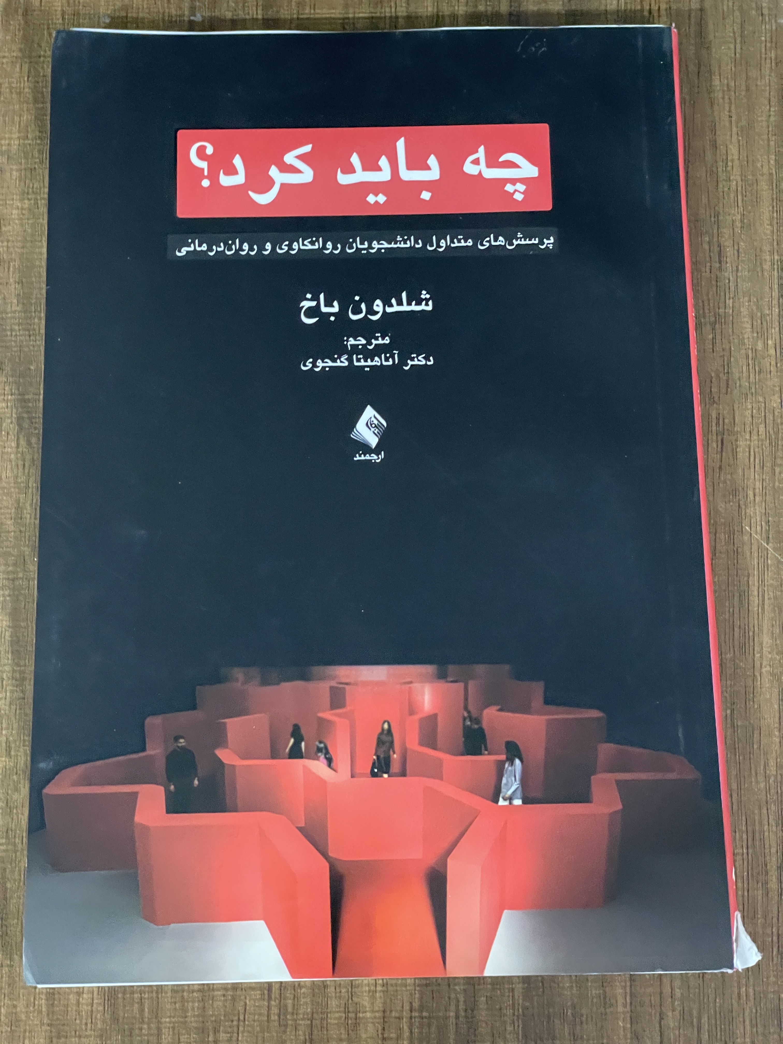 کتاب چه باید کرد شلدون باخ آناهیتا گنجوی - دست دوم