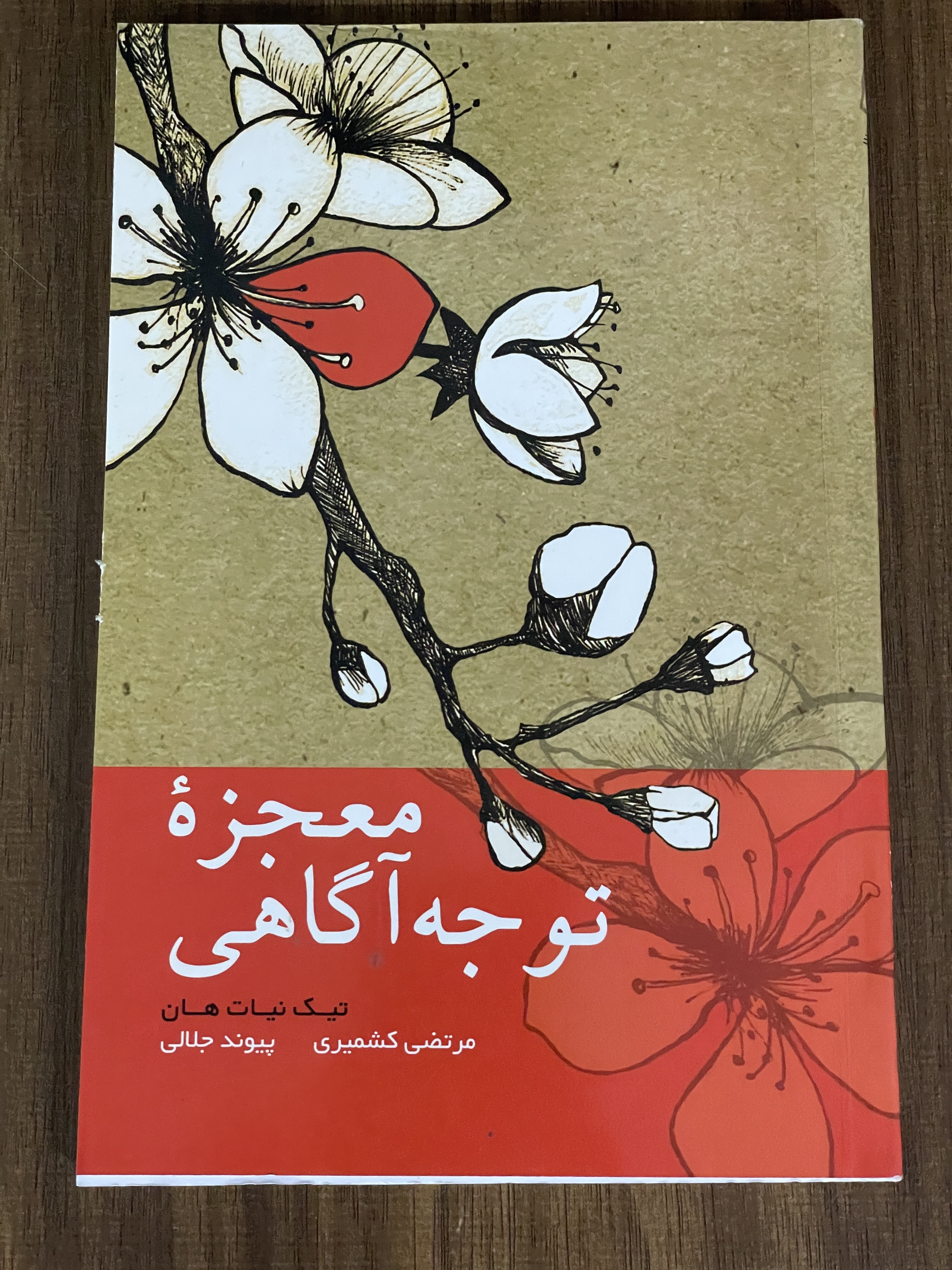 کتاب معجزه توجه آگاهی - مشابه نو