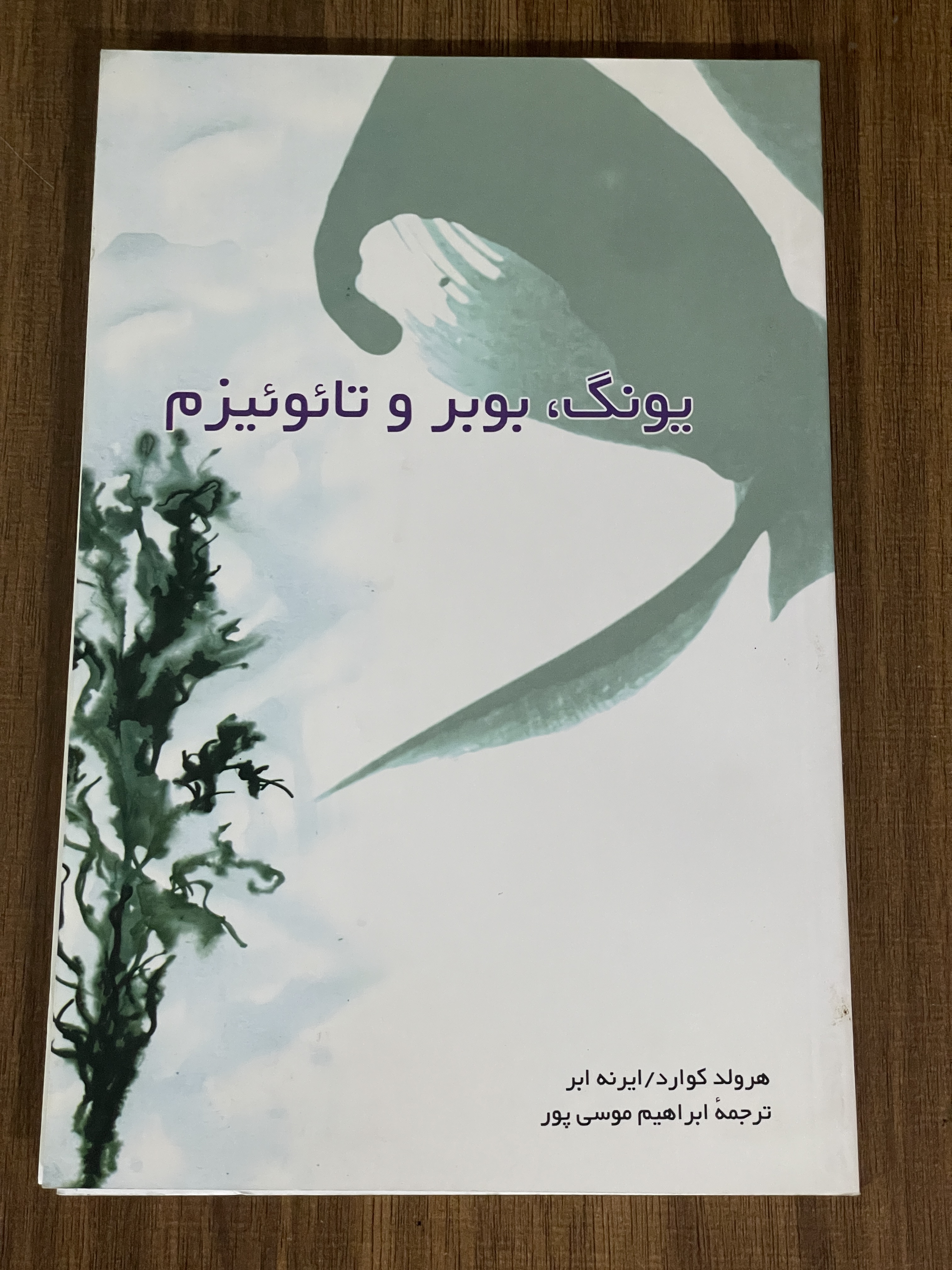 کتاب یونگ بوبر و تائوئیزم - مشابه نو