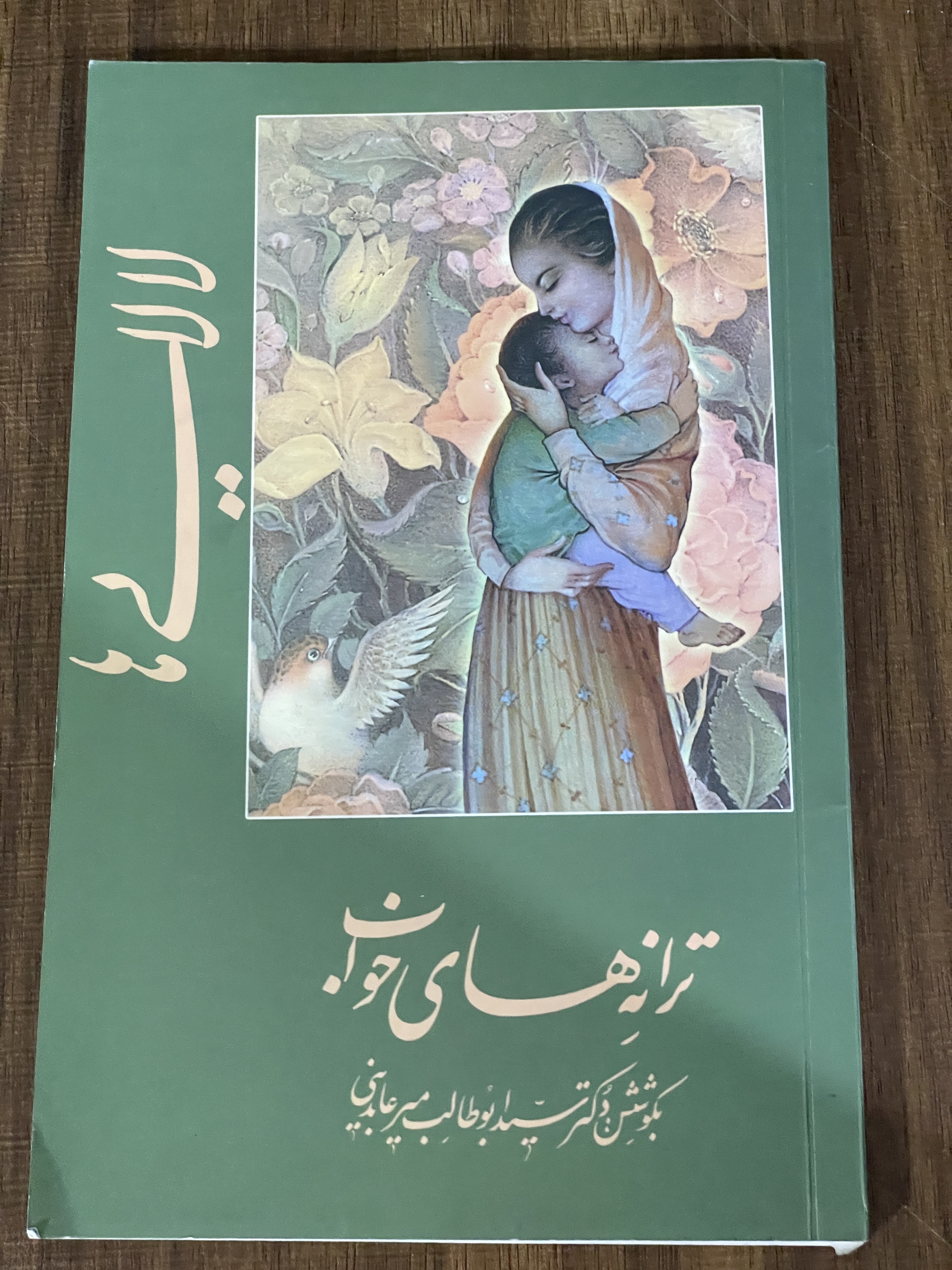 کتاب ترانه های خواب به کوشش دکتر سید ابوطالب میر عابدینی