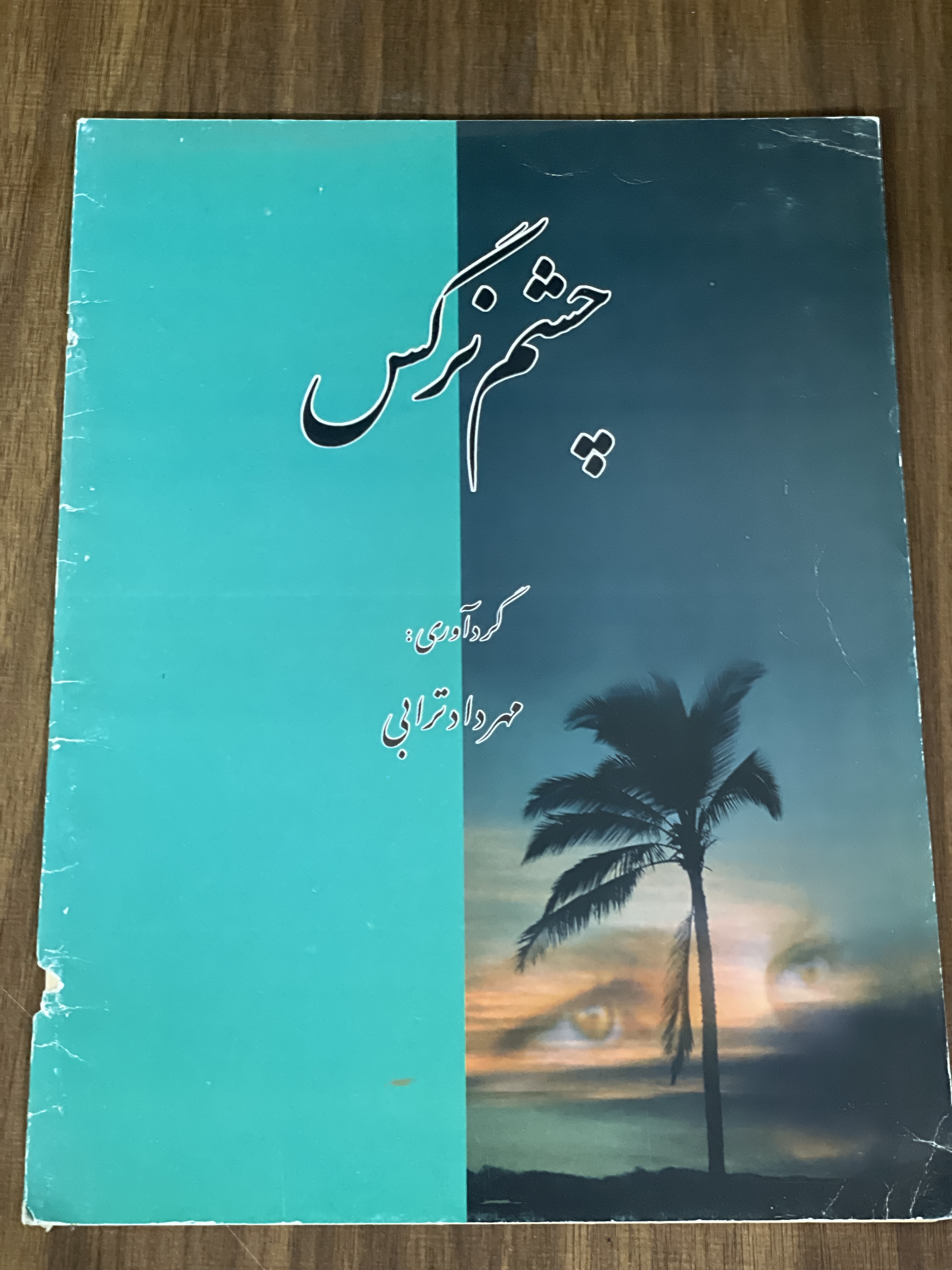 کتاب چشم نرگس - مهرداد ترابی - دست دوم