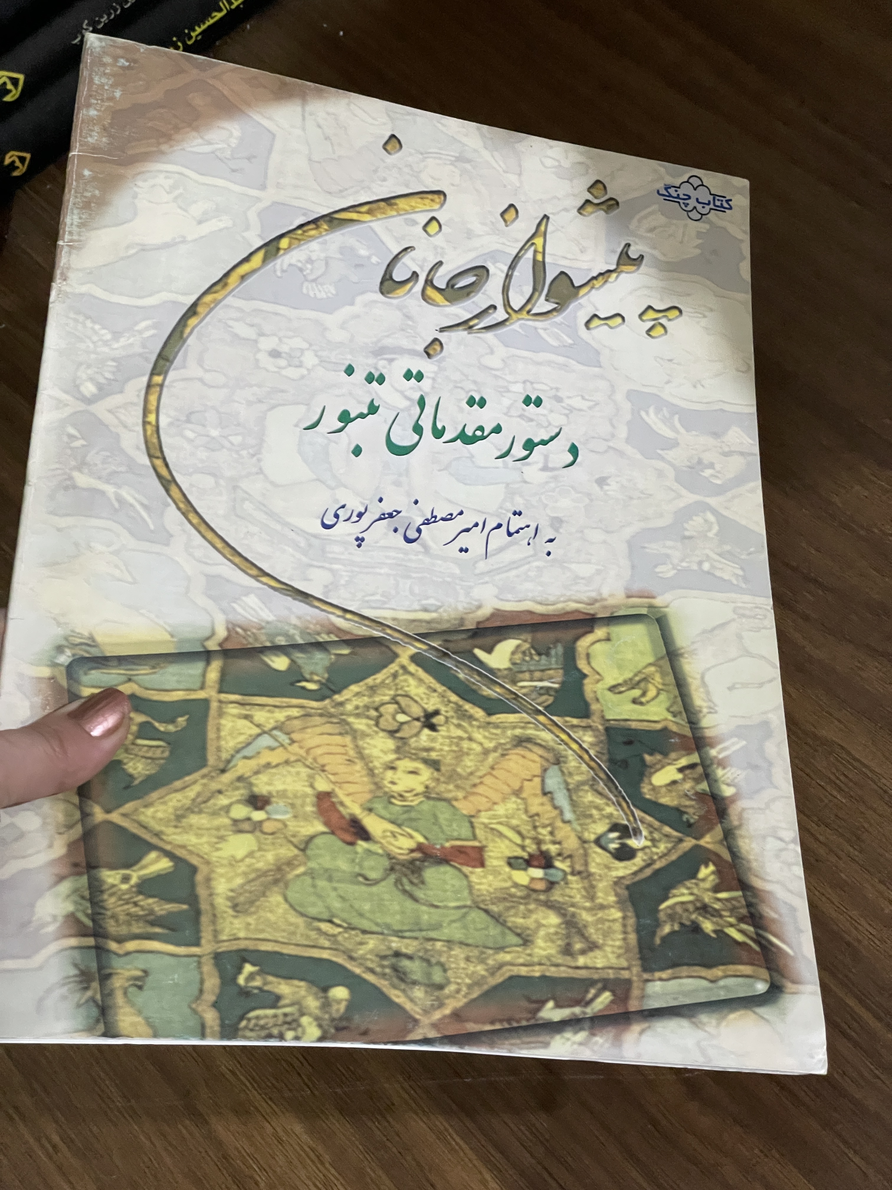 کتاب پیشواز جانان - امیر مصطفی جعفر پوری - دست دوم
