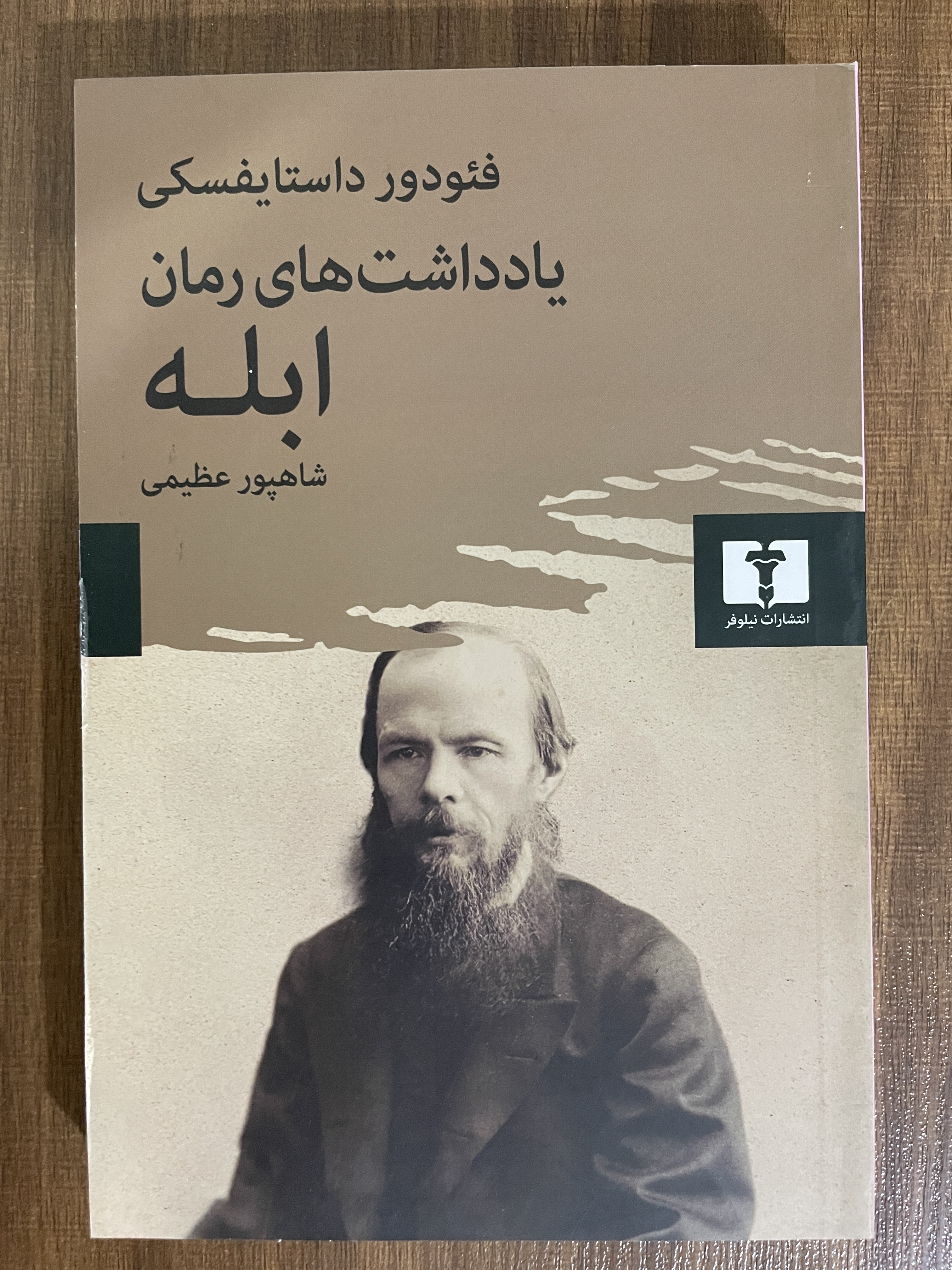 کتاب یادداشت های رمان ابله- مشابه نو