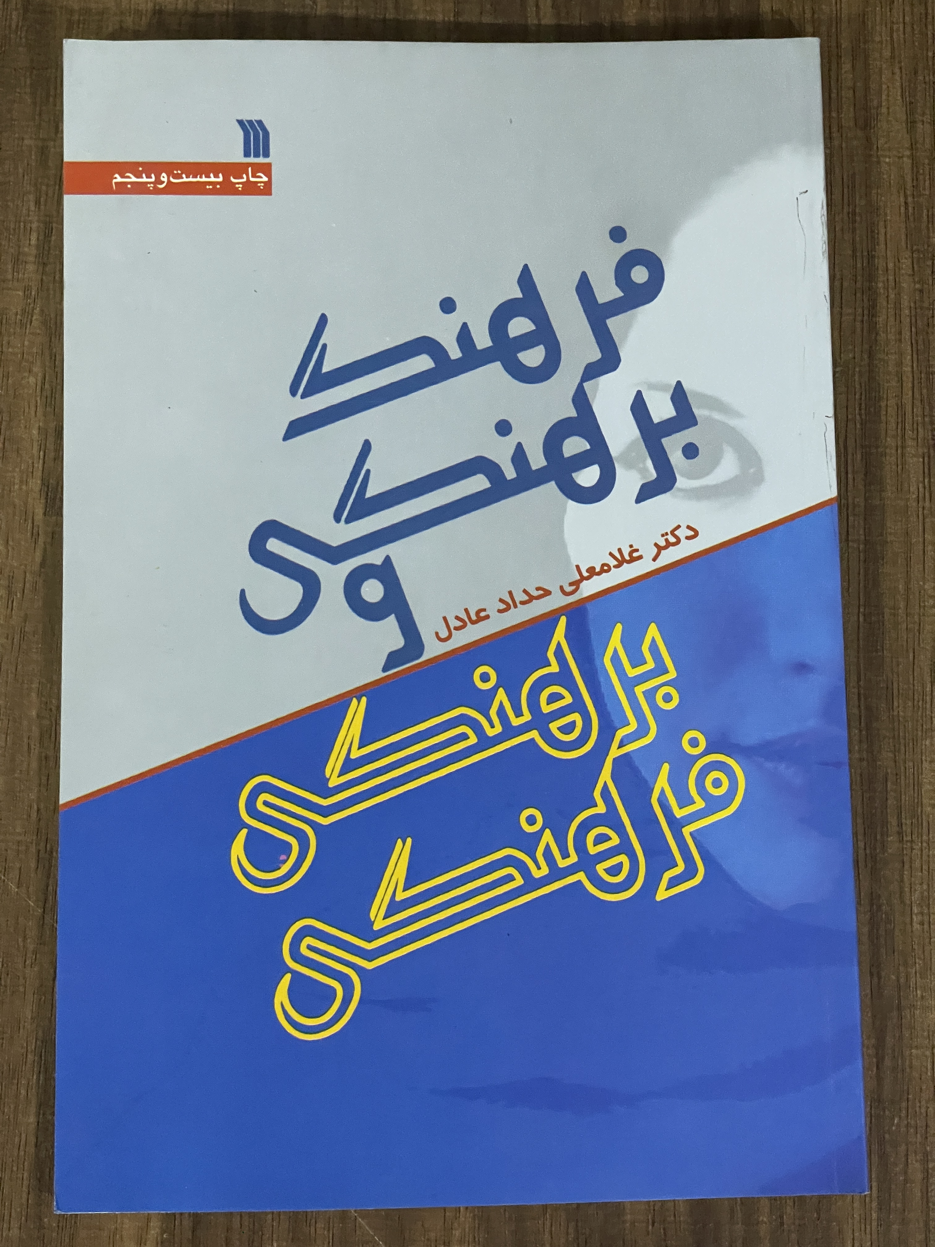 کتاب فرهنگ برهنگی و برهنگی فرهنگی -دست دوم تمیز