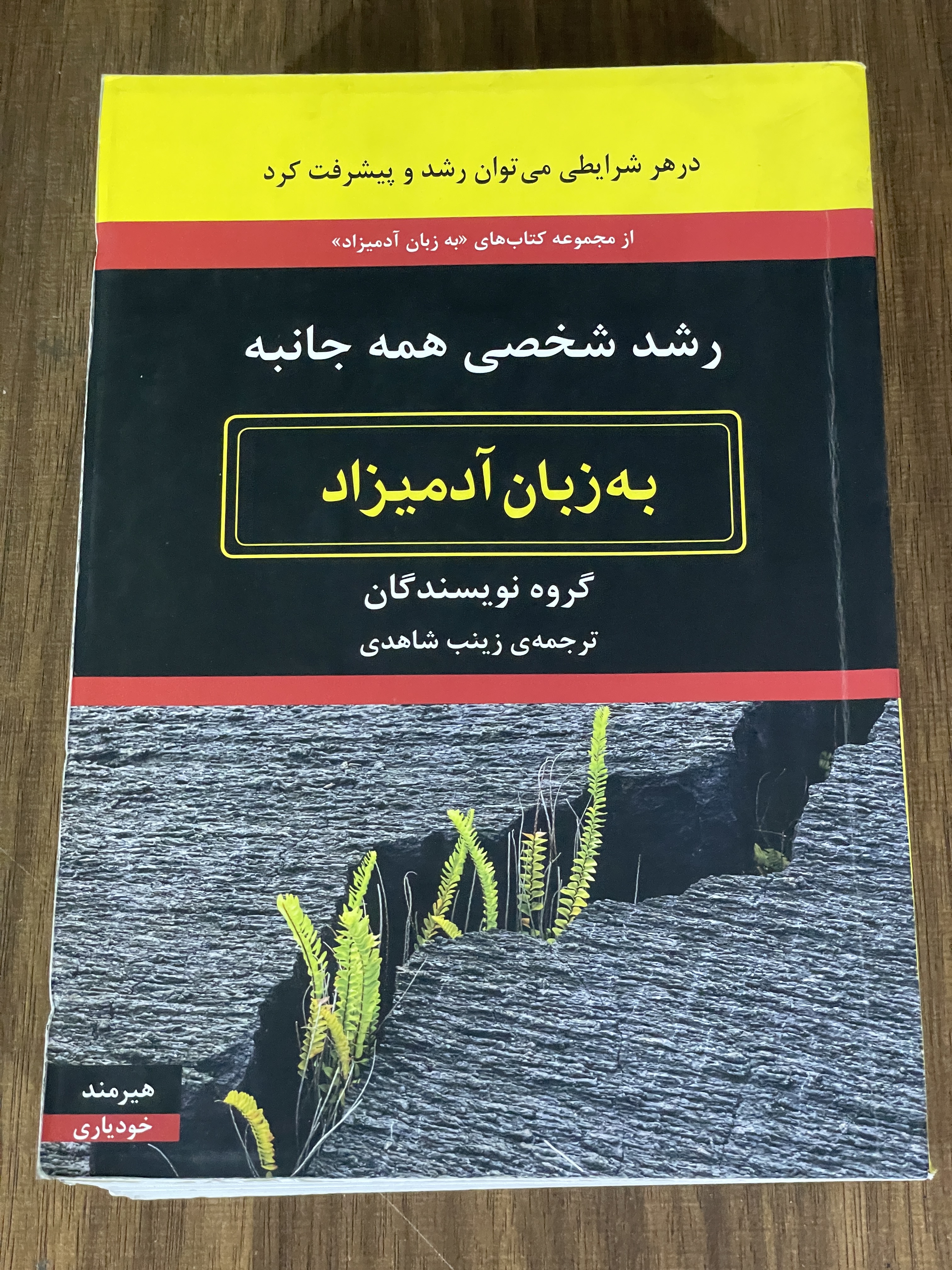 کتاب رشد شخصی همه جانبه به زبان آدمیزاد -دست دوم