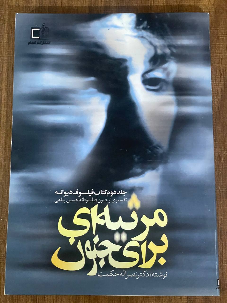 کتاب مرثیه ای برای جنون - تفسیری از جنون فیلسوفانه حسین پناهی - نوشته دکتر نصرالله حکمت